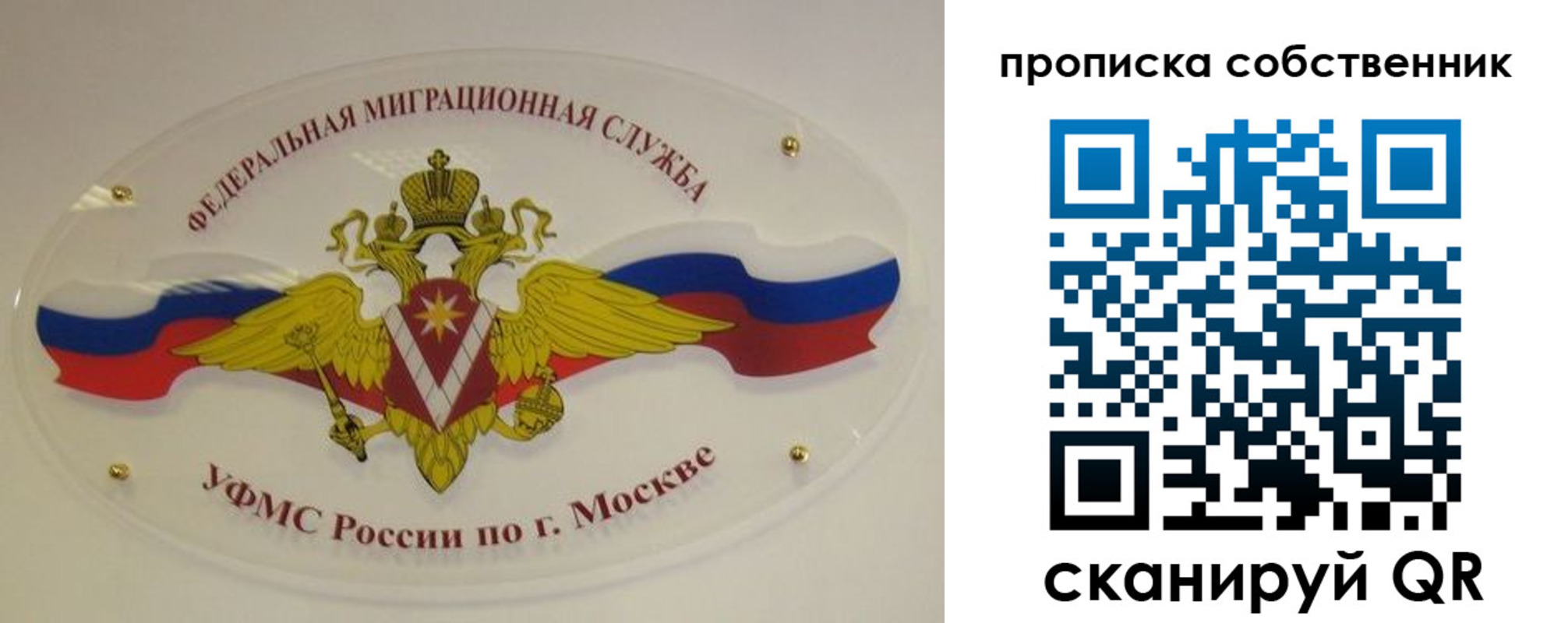 прописка 2025 в Заречном